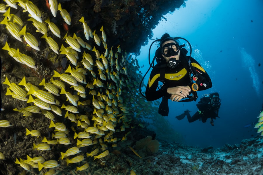 British Loyalty wreck dive