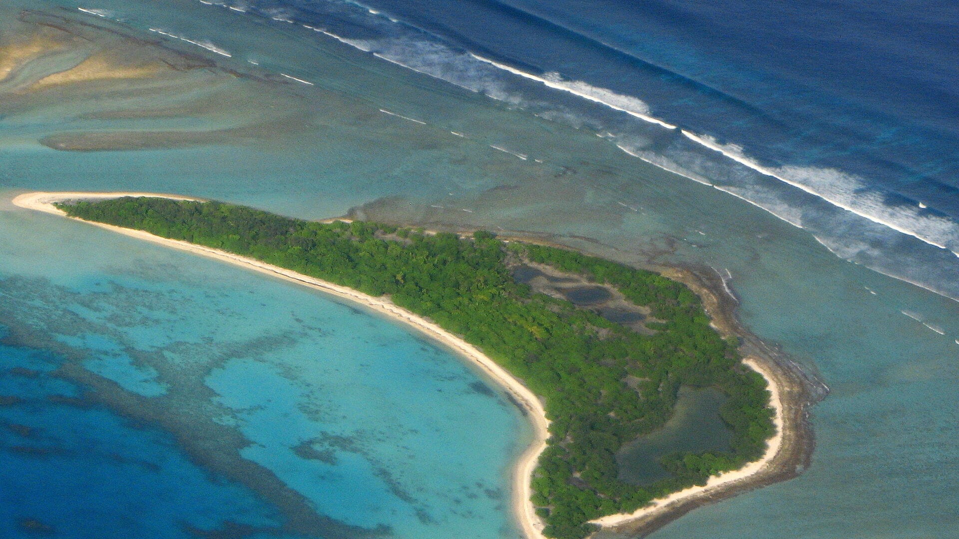 Mathikilhi wetland & mangrove birdlife